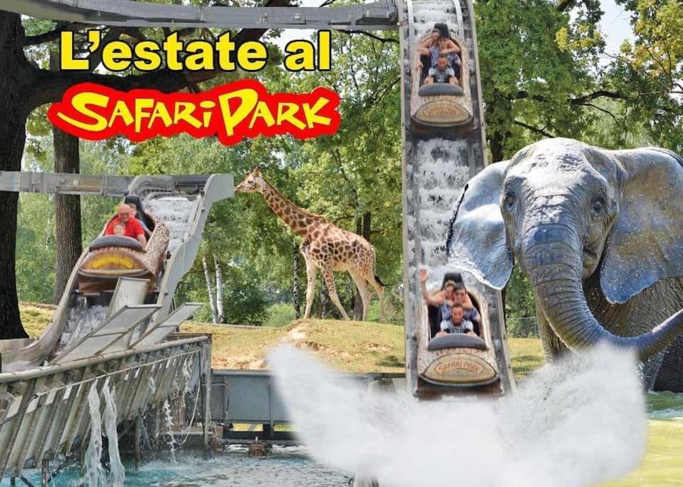 Malpensa Airport-safari Park-starry Sky-netflix * Varallo Pombia