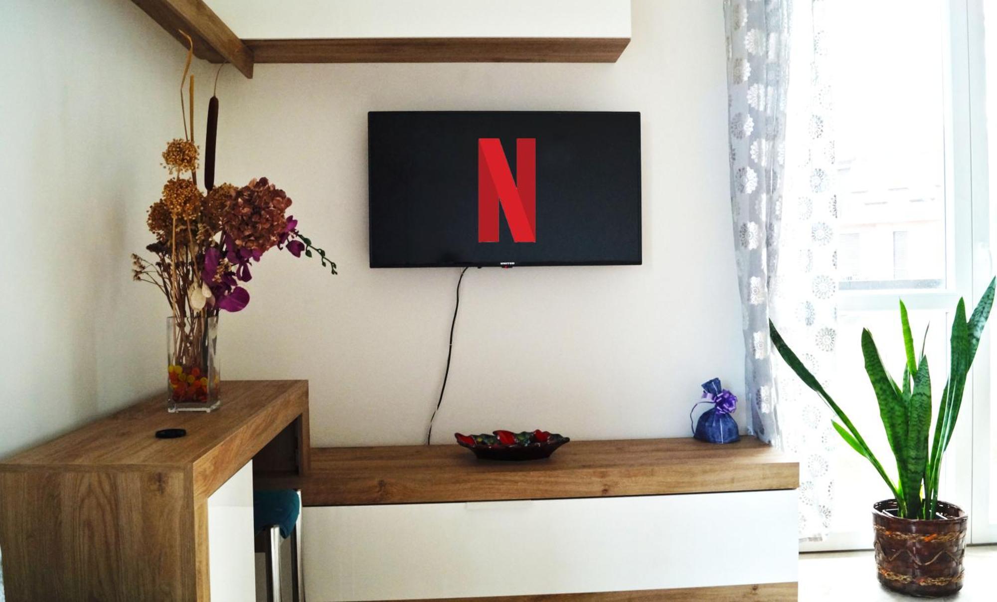 Malpensa Airport-safari Park-starry Sky-netflix Varallo Pombia